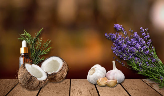 Hausmittel gegen Hautpilz: Diese natürlichen Mittel sollen Abhilfe verschaffen.