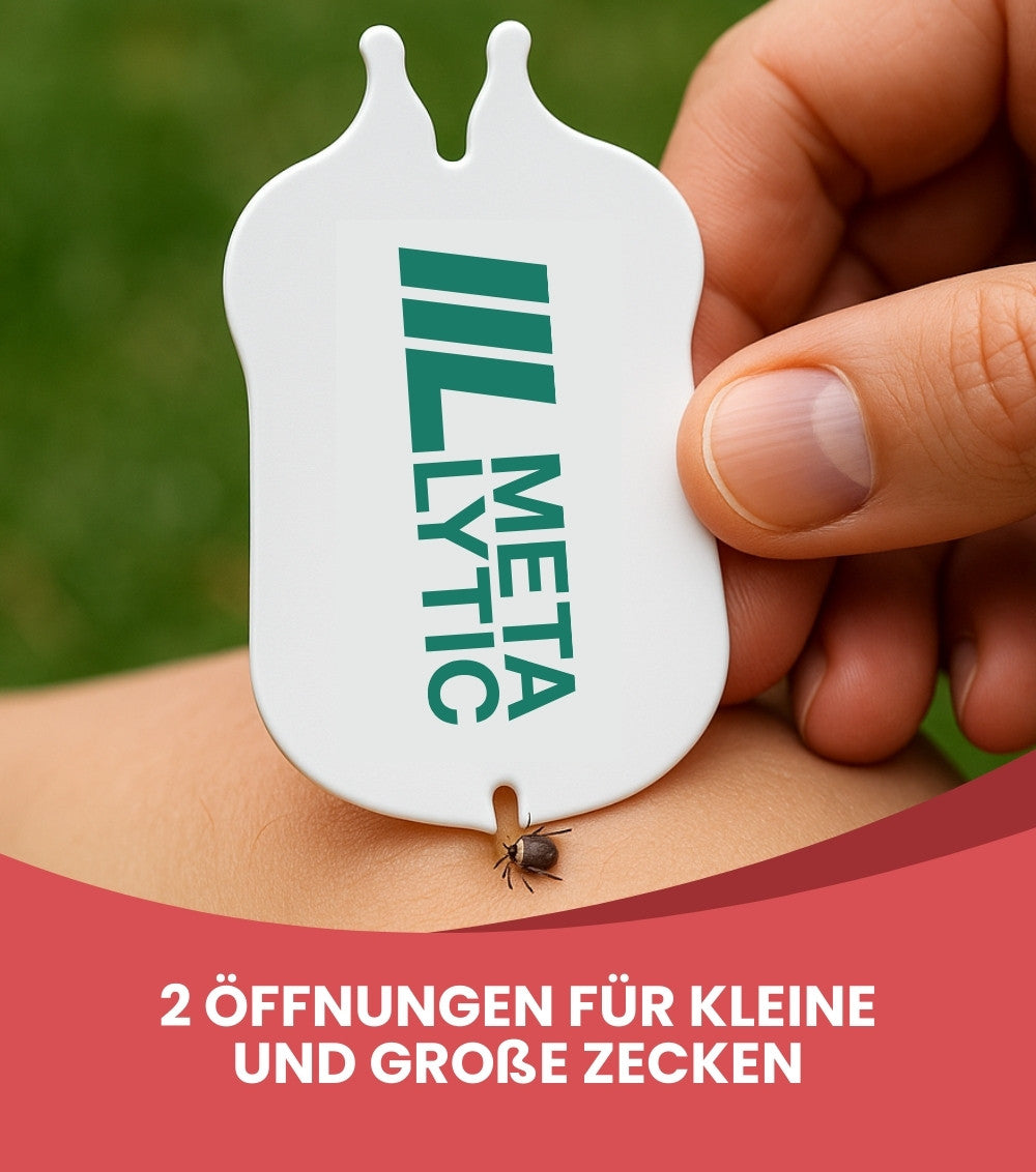 Zeckenkarte + Labor-Option (Borreliose & FSME testen)