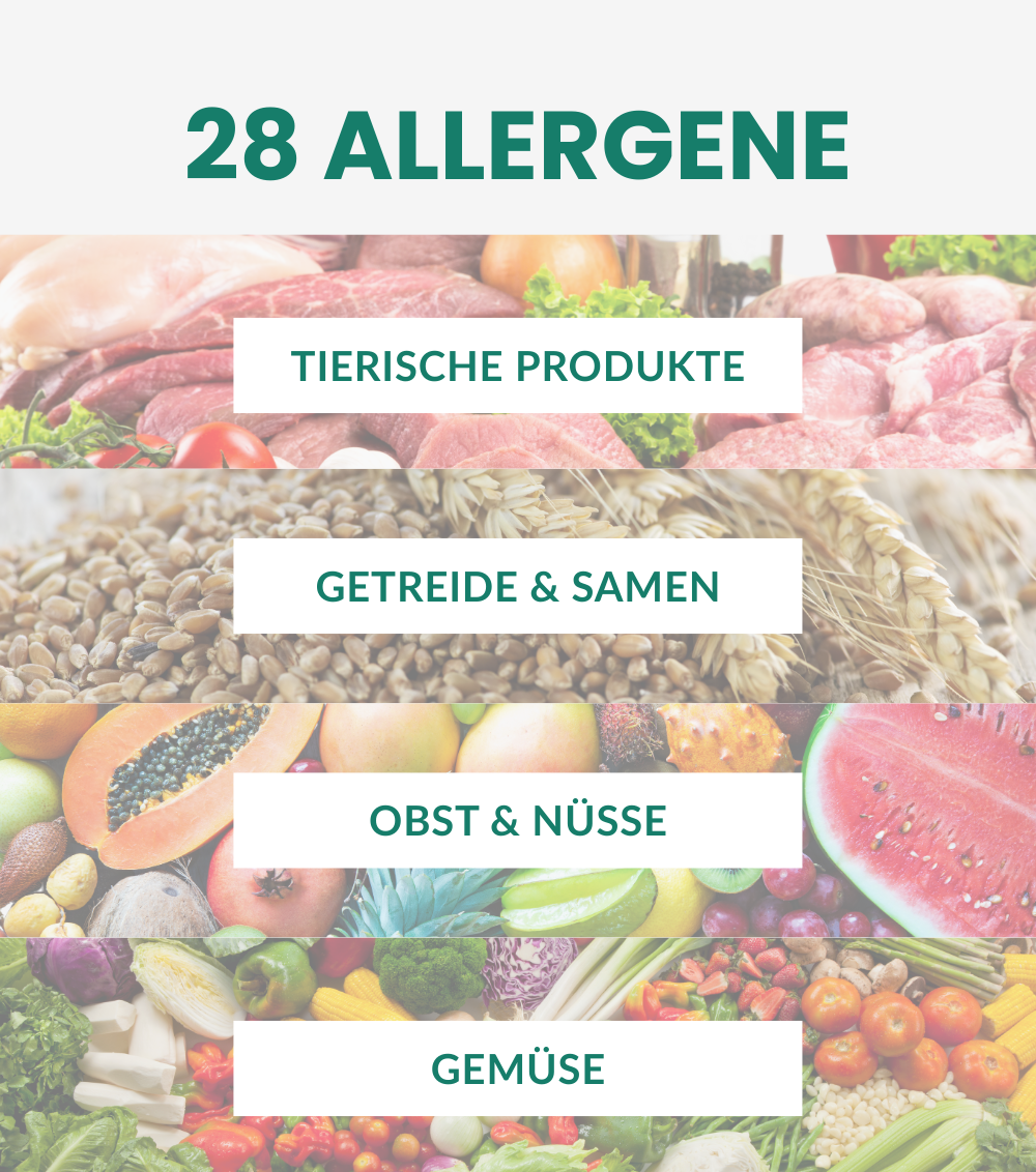 Lebensmittelallergie Test - 28 Allergene