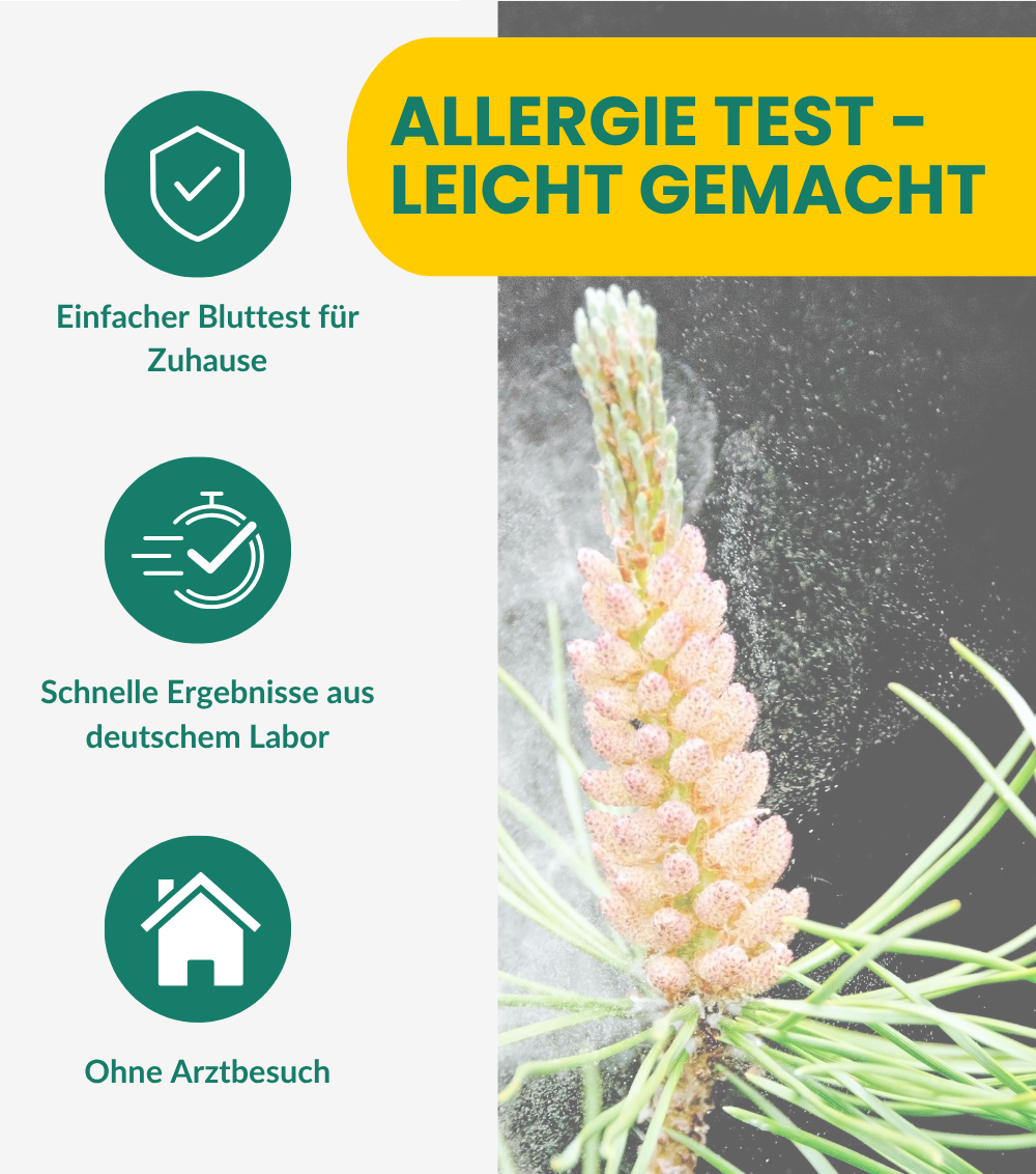 Allergie Test XL - 54 Allergene