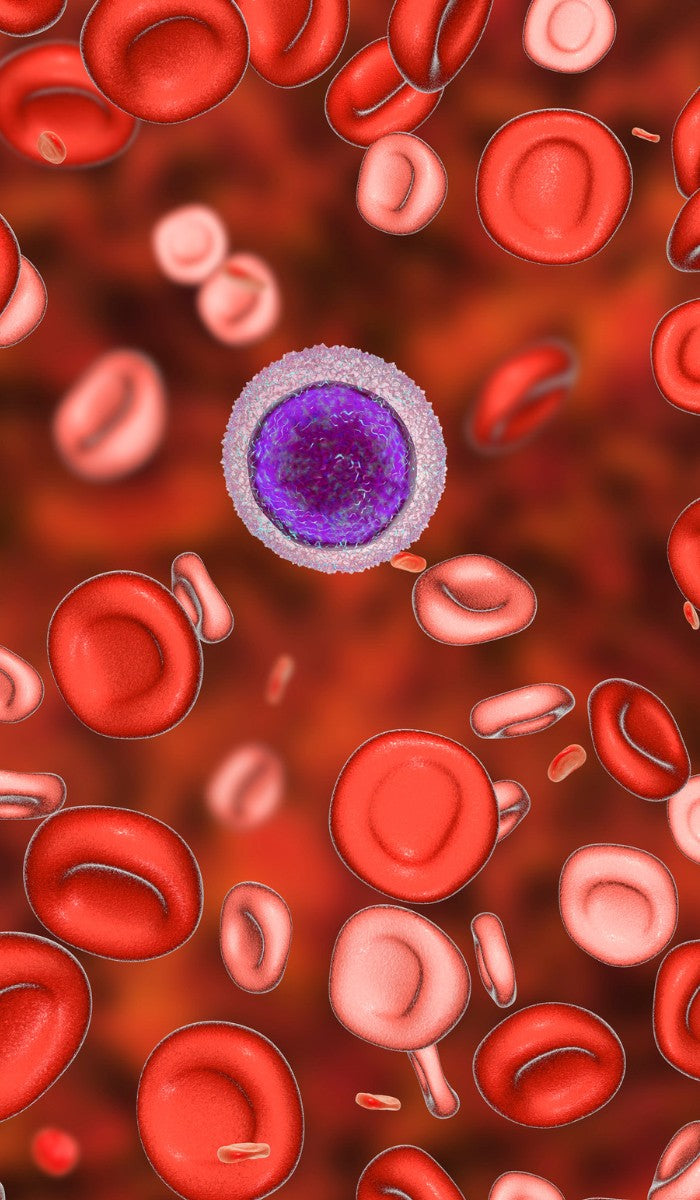 Illustration von Blutkörperchen, die eine unzureichende Eisenversorgung zeigen, was zu Eisenmangelanämie führen kann. Zu sehen sind kleinere, unregelmäßig geformte rote Blutkörperchen, die den Mangel an Eisen im Körper widerspiegeln.