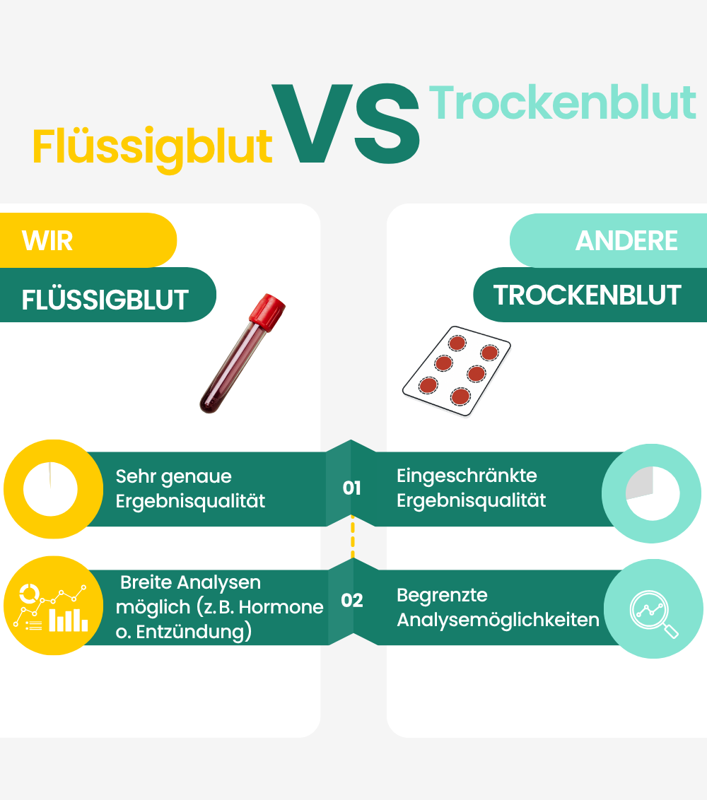 Energie- & Leistungsfähigkeitstest