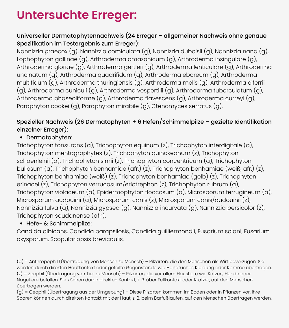 Übersicht der mit dem Haut-, Fuß- und Nagelpilz-Test untersuchten Erreger: universeller Nachweis von 24 Dermatophyten sowie spezieller Nachweis von 26 Dermatophyten und 6 Hefen und Schimmelpilzen.