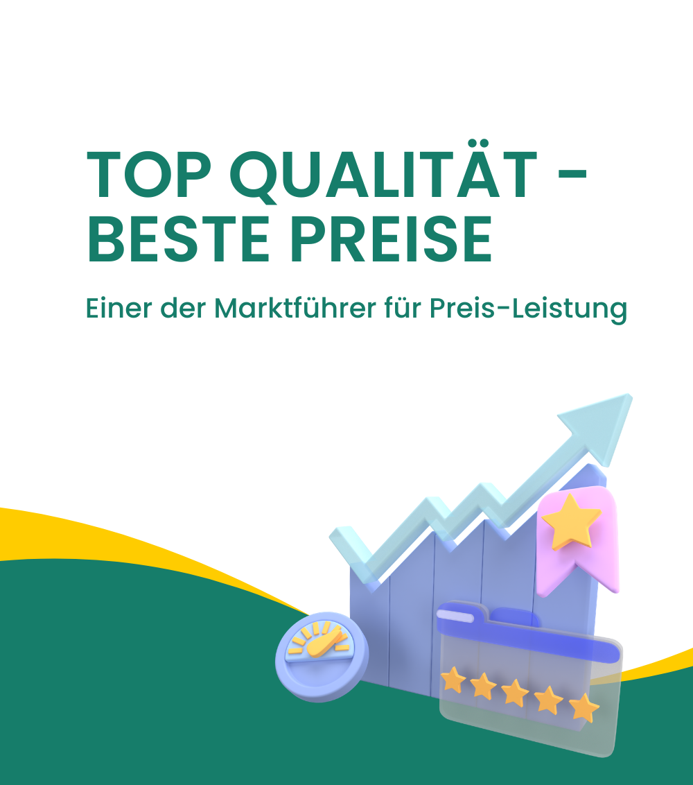 Energie- & Leistungsfähigkeitstest
