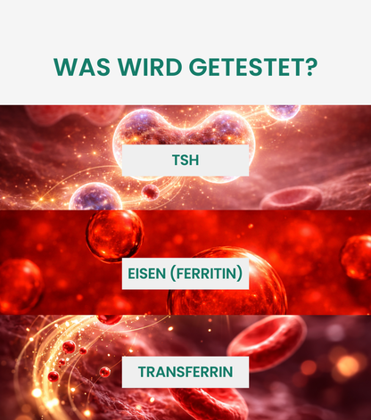 Schilddrüse Test Basic + Eisenstatus