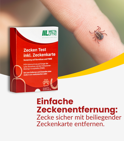 Borreliose Test & FSME Test nach Zeckenbiss