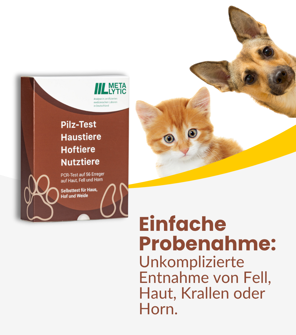 Pilz Test für Tiere (Hautpilz, Pfotenpilz und Hufpilz)