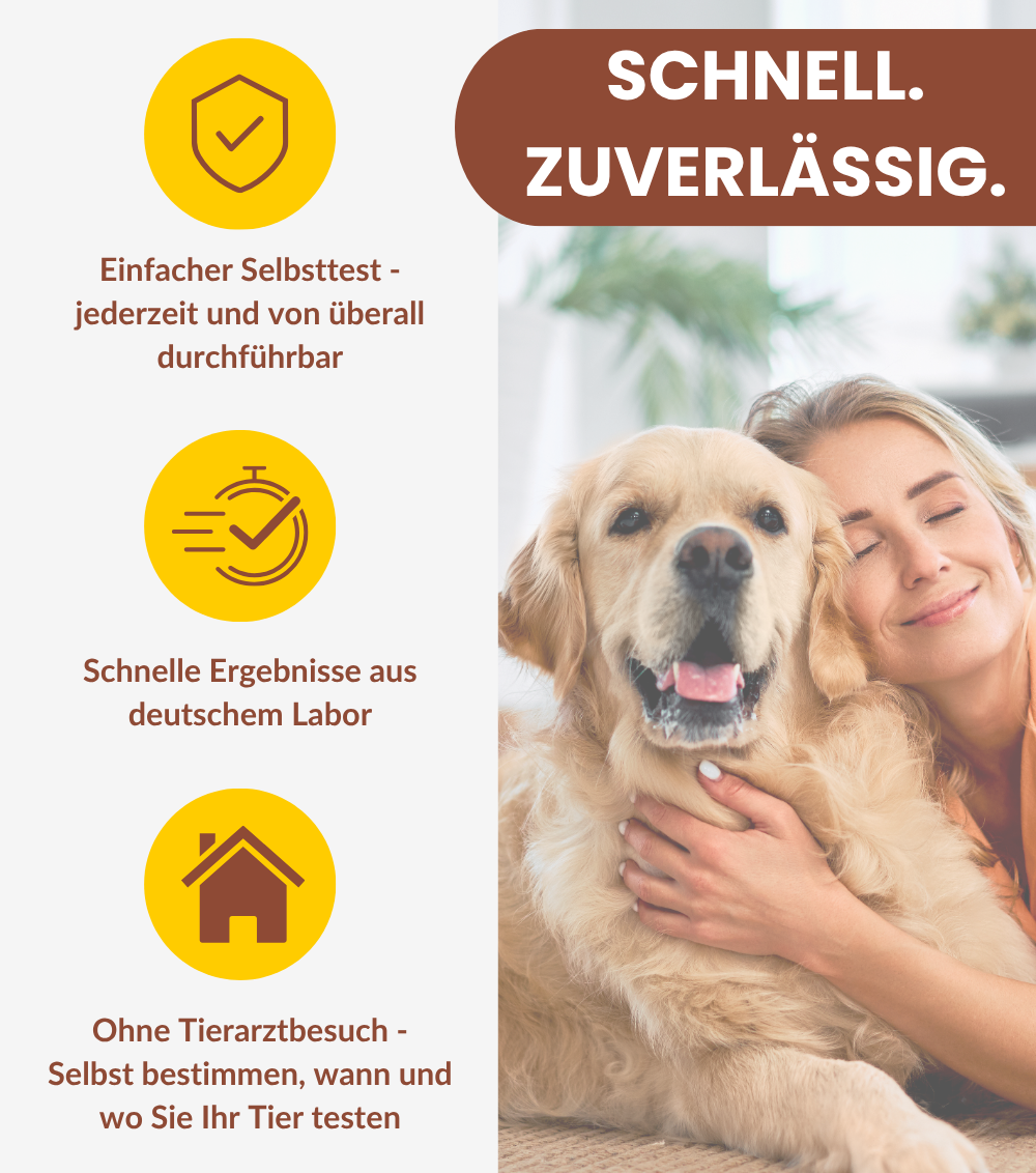 Pilz Test für Tiere (Hautpilz, Pfotenpilz und Hufpilz)