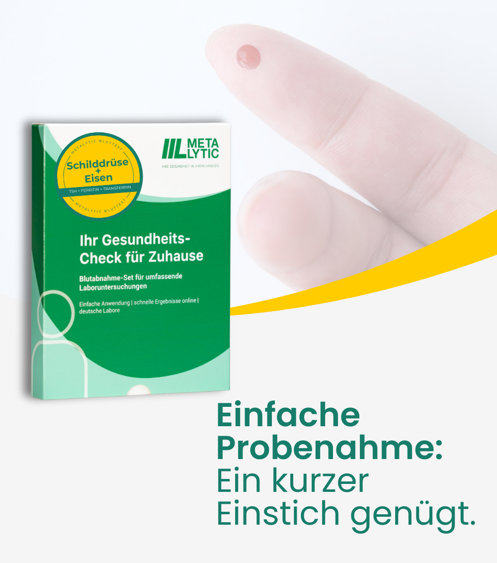 Schilddrüse Test Basic + Eisenstatus