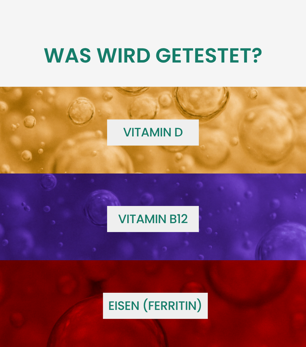 Energie- & Leistungsfähigkeitstest