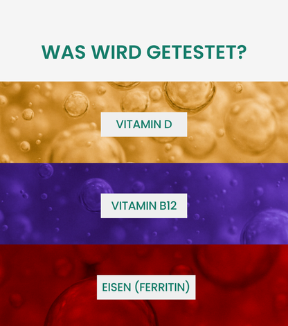 Energie- & Leistungsfähigkeitstest