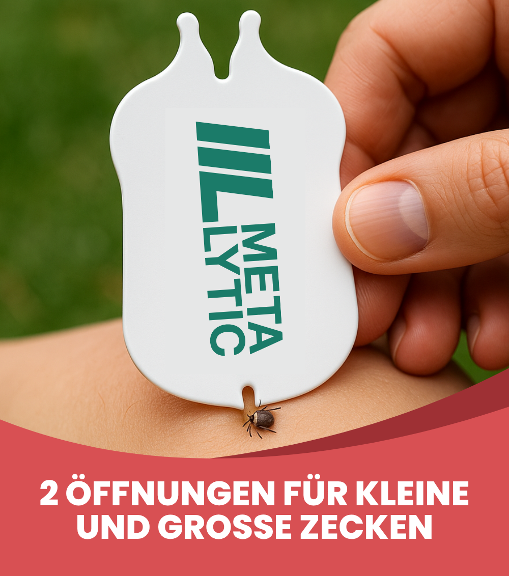 Borreliose Test & FSME Test nach Zeckenbiss