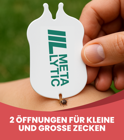 Borreliose Test & FSME Test nach Zeckenbiss