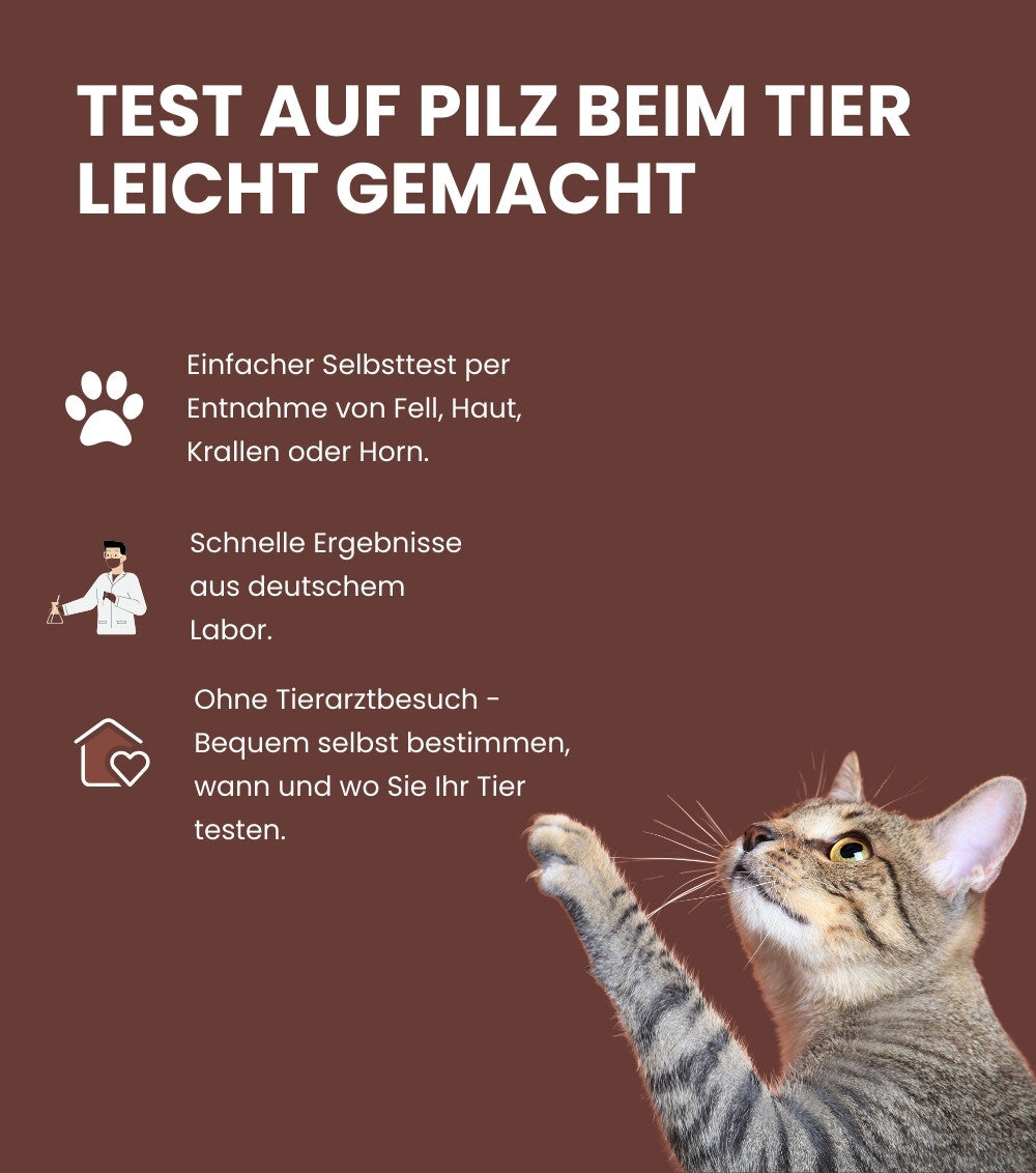 Pilz Test für Tiere (Hautpilz, Pfotenpilz und Hufpilz)