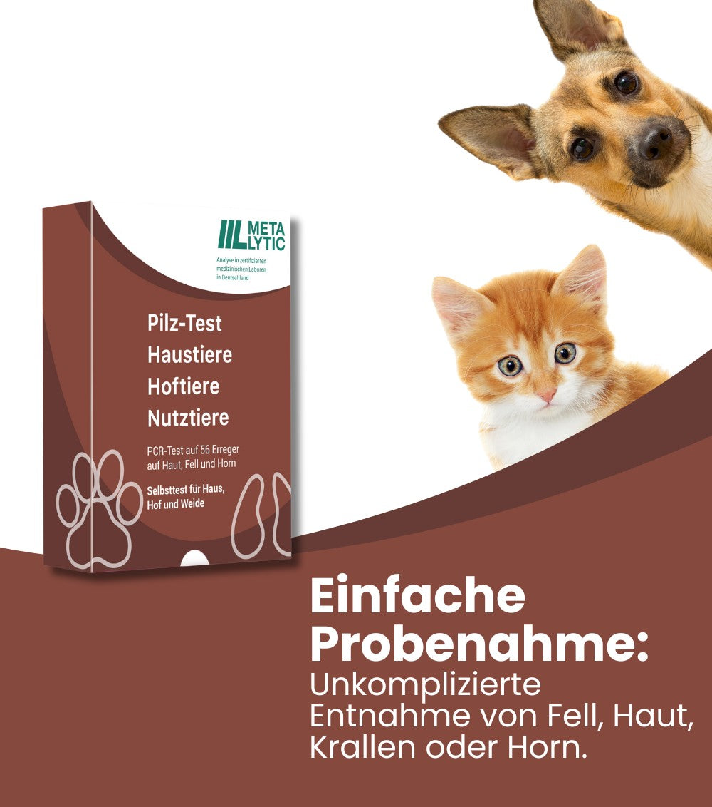 Zu sehen ist der Pilz Test von MetaLytic für Tiere.
